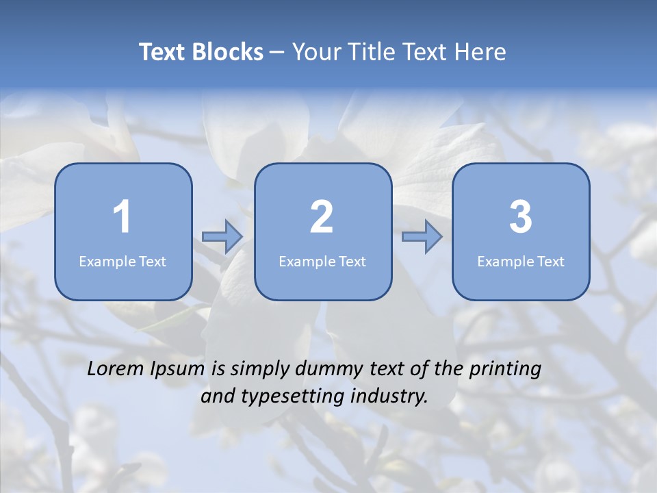 Per On Room Profe Ional PowerPoint Template