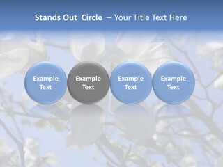 Per On Room Profe Ional PowerPoint Template