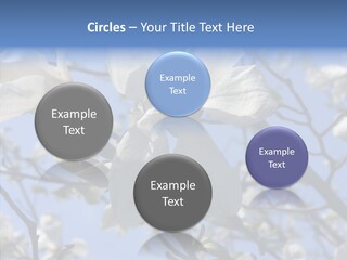 Per On Room Profe Ional PowerPoint Template