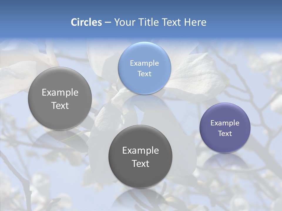 Per On Room Profe Ional PowerPoint Template