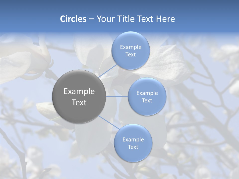 Per On Room Profe Ional PowerPoint Template