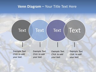 Per On Room Profe Ional PowerPoint Template