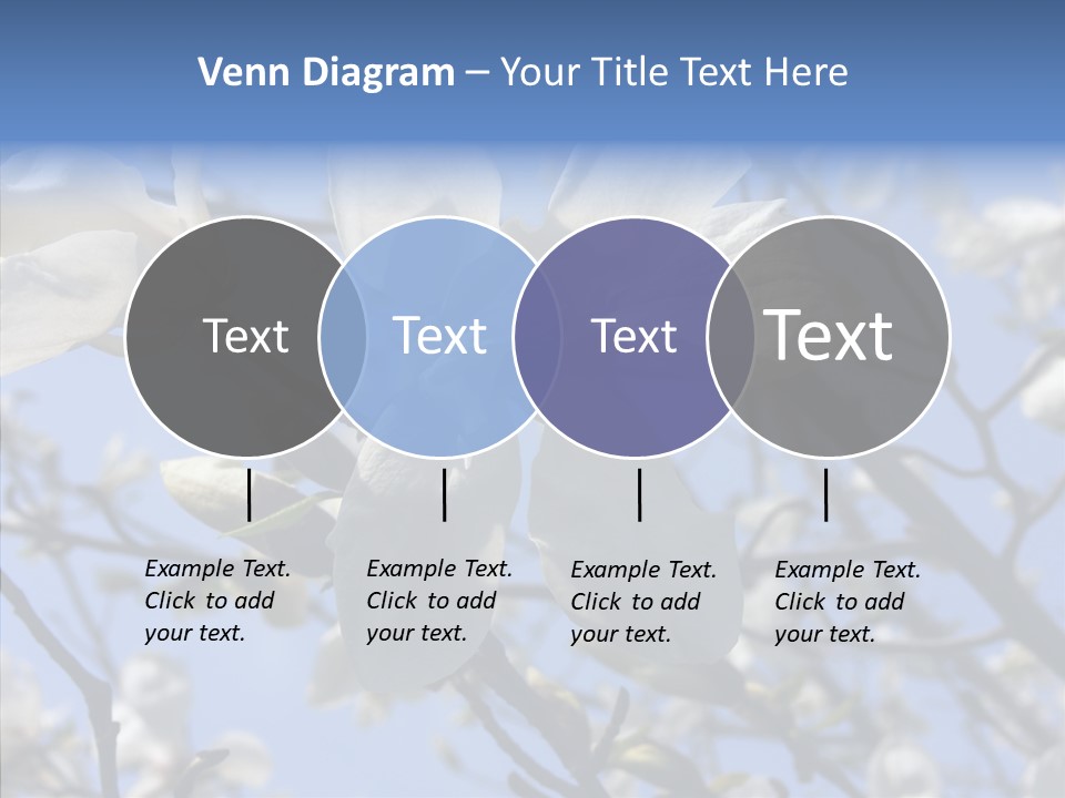 Per On Room Profe Ional PowerPoint Template