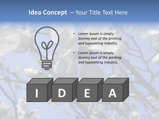 Per On Room Profe Ional PowerPoint Template