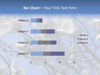 Per On Room Profe Ional PowerPoint Template