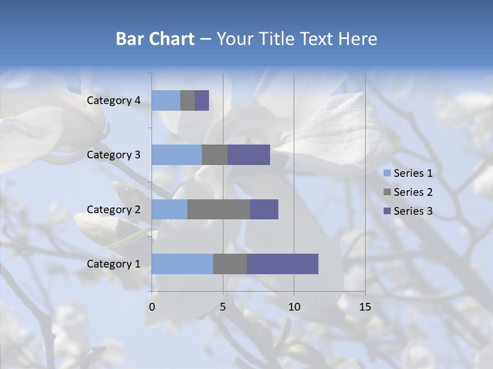 Per On Room Profe Ional PowerPoint Template