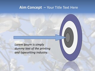 Per On Room Profe Ional PowerPoint Template