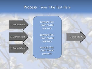 Per On Room Profe Ional PowerPoint Template