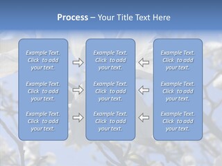 Per On Room Profe Ional PowerPoint Template