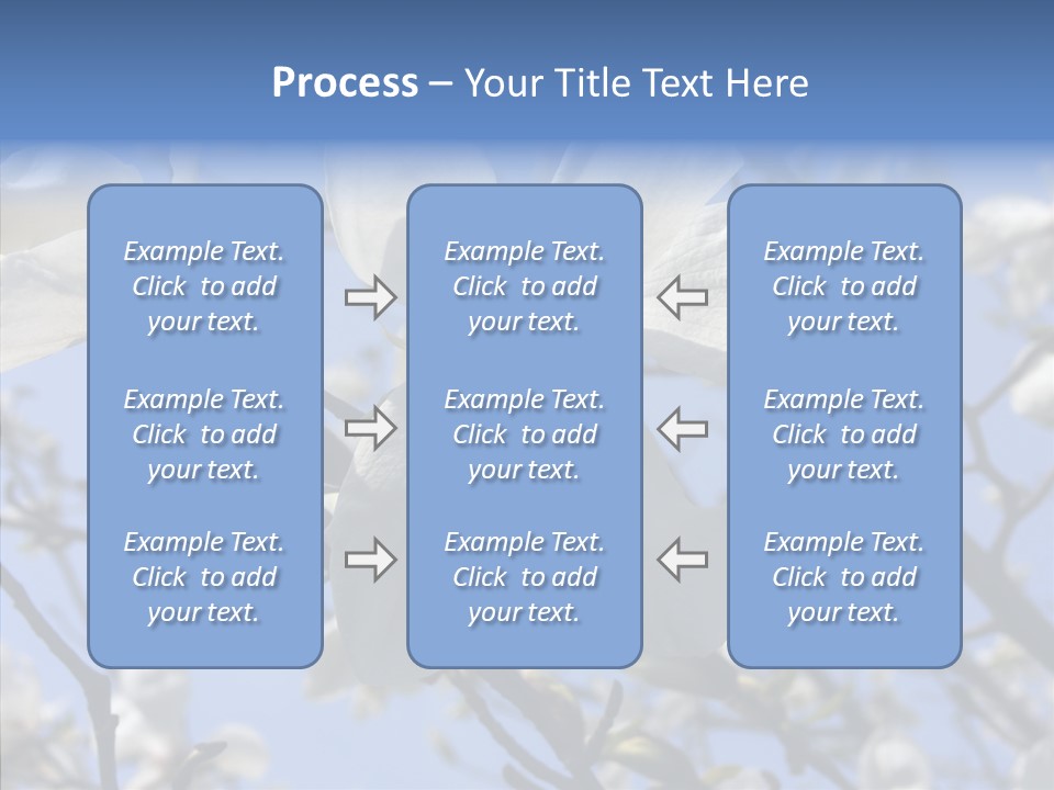 Per On Room Profe Ional PowerPoint Template