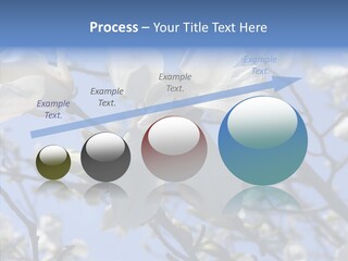 Per On Room Profe Ional PowerPoint Template