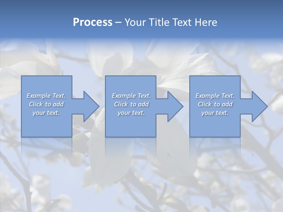Per On Room Profe Ional PowerPoint Template