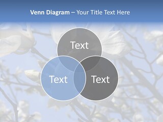 Per On Room Profe Ional PowerPoint Template