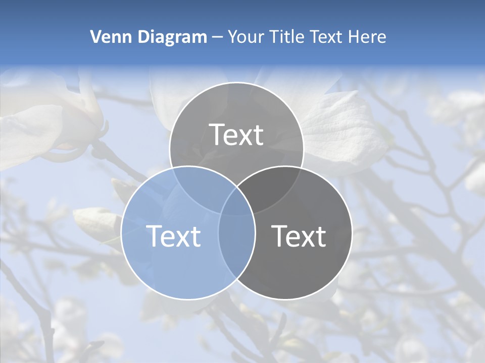 Per On Room Profe Ional PowerPoint Template
