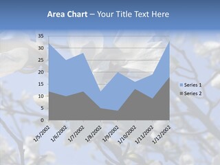 Per On Room Profe Ional PowerPoint Template