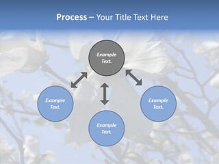 Per On Room Profe Ional PowerPoint Template