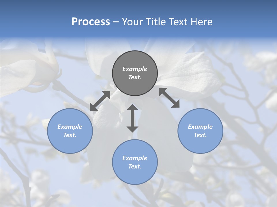 Per On Room Profe Ional PowerPoint Template