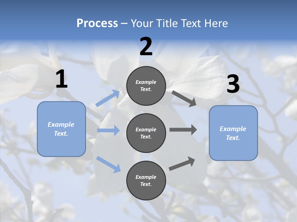 Per On Room Profe Ional PowerPoint Template