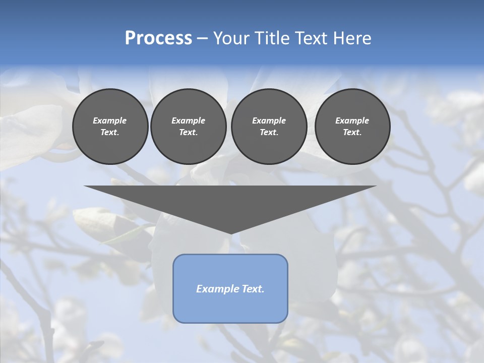 Per On Room Profe Ional PowerPoint Template