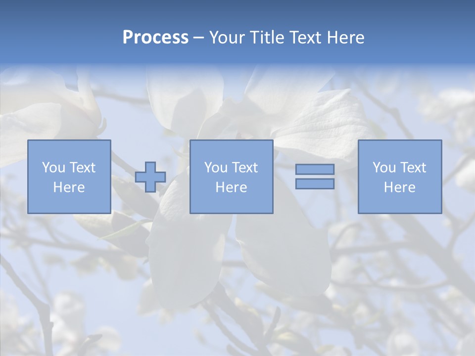 Per On Room Profe Ional PowerPoint Template