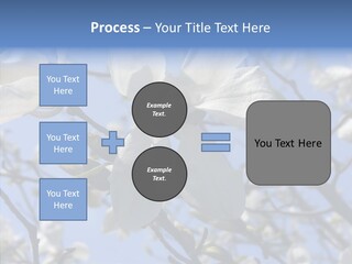Per On Room Profe Ional PowerPoint Template