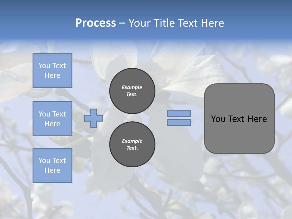 Per On Room Profe Ional PowerPoint Template
