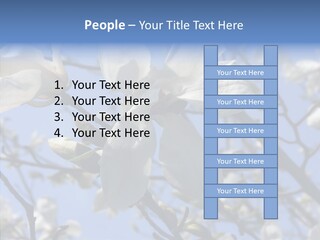 Per On Room Profe Ional PowerPoint Template