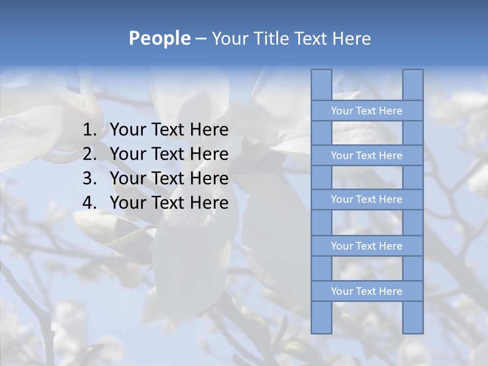 Per On Room Profe Ional PowerPoint Template