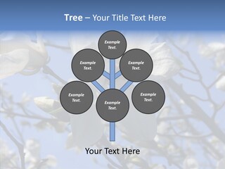 Per On Room Profe Ional PowerPoint Template