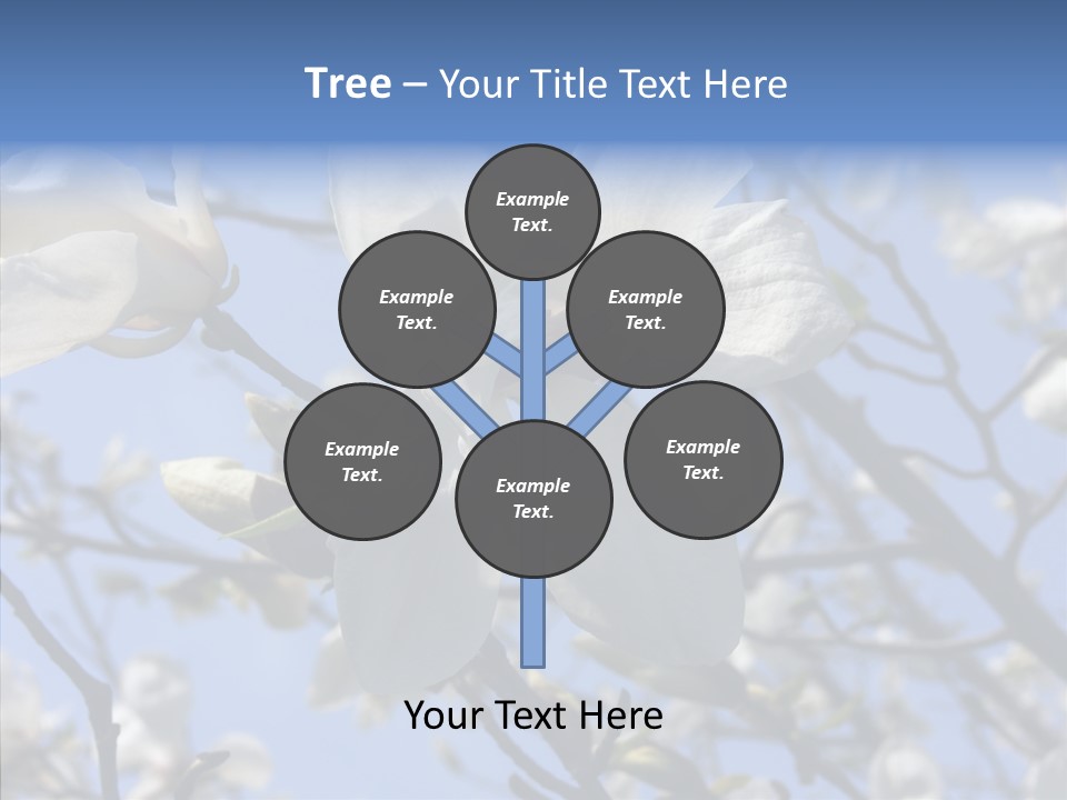 Per On Room Profe Ional PowerPoint Template