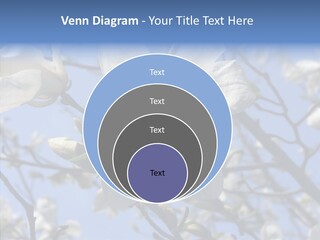 Per On Room Profe Ional PowerPoint Template