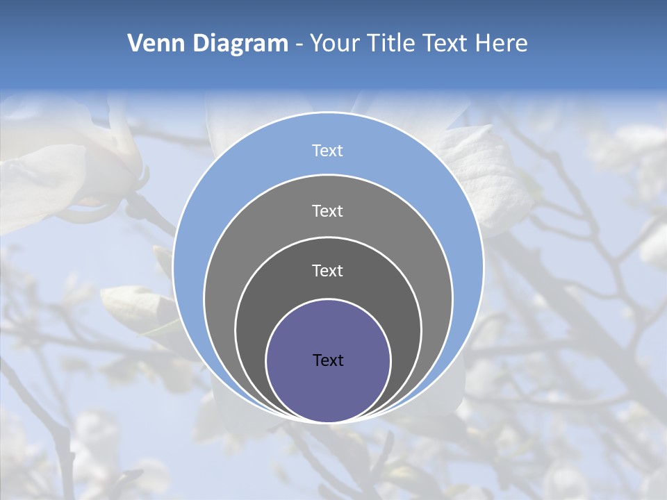 Per On Room Profe Ional PowerPoint Template
