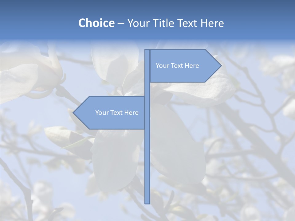 Per On Room Profe Ional PowerPoint Template