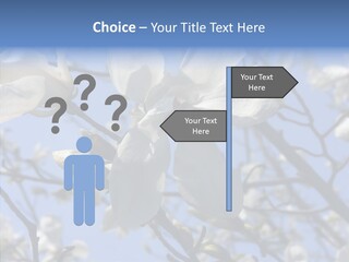 Per On Room Profe Ional PowerPoint Template