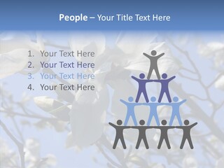 Per On Room Profe Ional PowerPoint Template