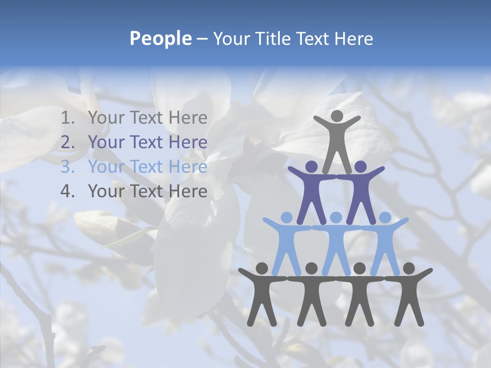 Per On Room Profe Ional PowerPoint Template