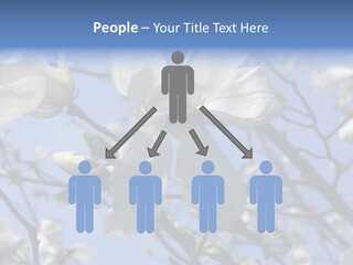 Per On Room Profe Ional PowerPoint Template