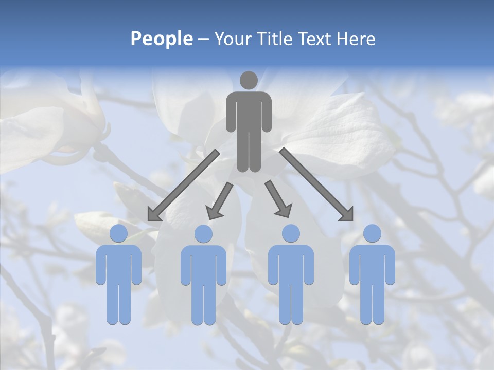 Per On Room Profe Ional PowerPoint Template