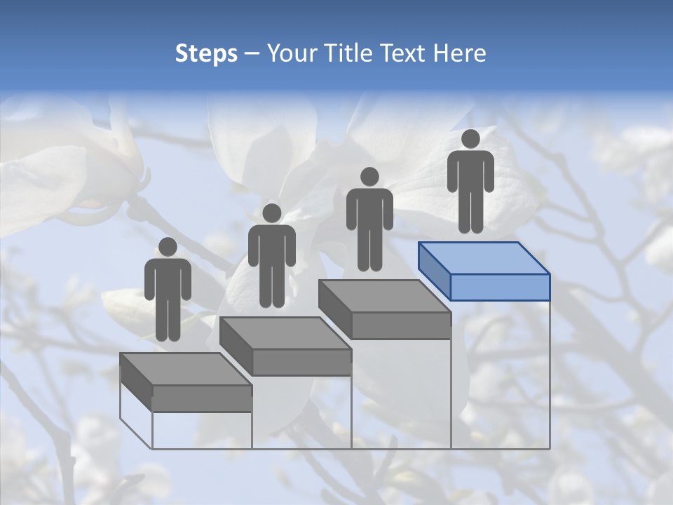 Per On Room Profe Ional PowerPoint Template