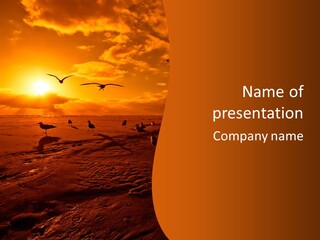 Beach Color Golden PowerPoint Template