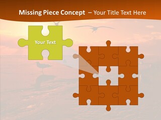 Beach Color Golden PowerPoint Template
