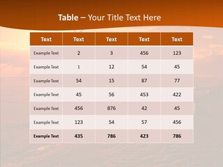 Beach Color Golden PowerPoint Template