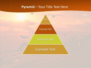 Beach Color Golden PowerPoint Template