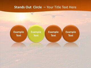 Beach Color Golden PowerPoint Template