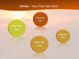Beach Color Golden PowerPoint Template