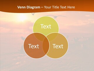 Beach Color Golden PowerPoint Template
