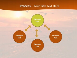 Beach Color Golden PowerPoint Template