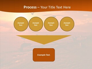 Beach Color Golden PowerPoint Template