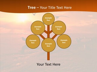 Beach Color Golden PowerPoint Template