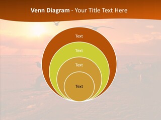 Beach Color Golden PowerPoint Template
